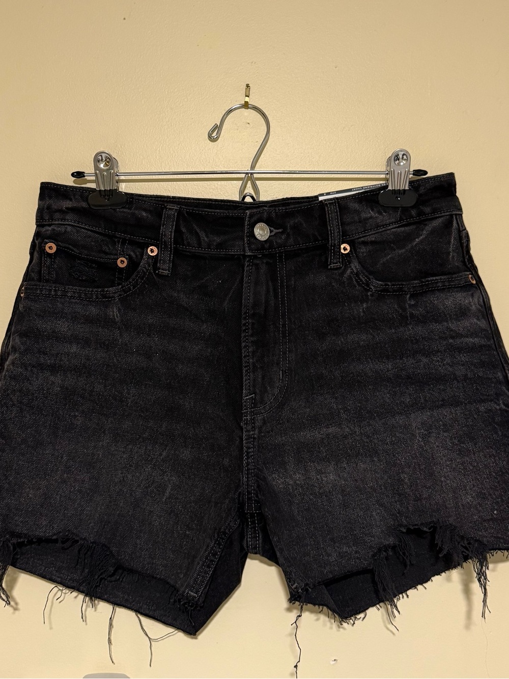 AE Ex-boyfriend short NWT